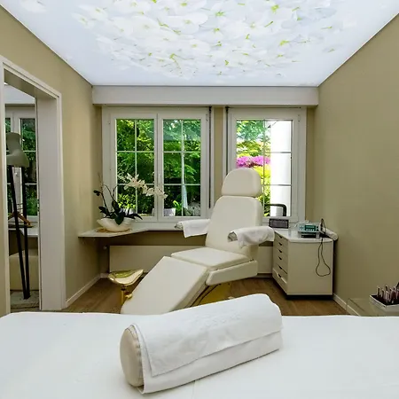 Hotel Albergo Losone 4*