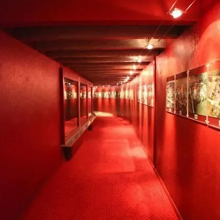 מלון Albergo Losone 4*