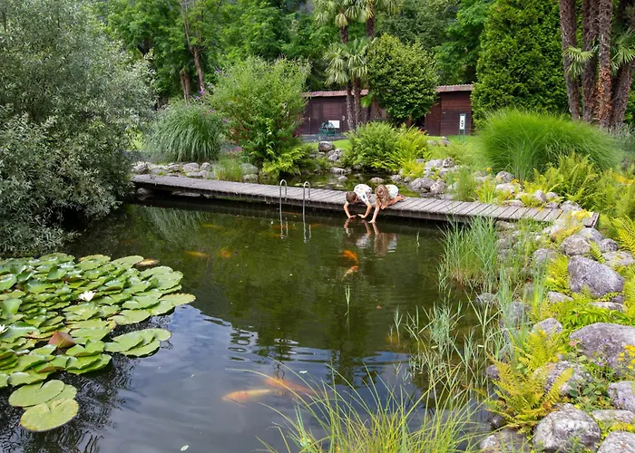 ألبيرجو لوسون لوزون