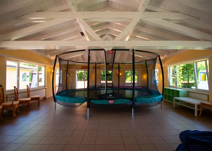 Hotel Albergo Losone 4*