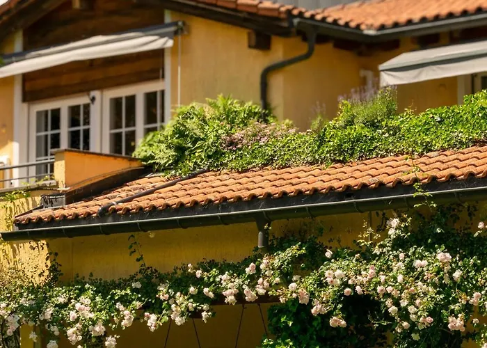 Albergo Losone Hotel