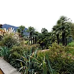 Albergo Losone Hotel Losone