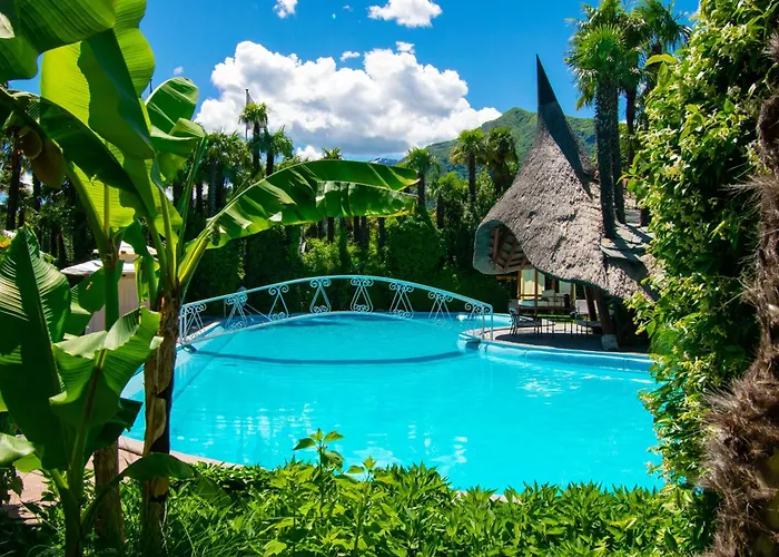 알베르고 4* 로손