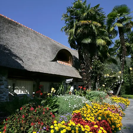 Albergo Losone Szálloda